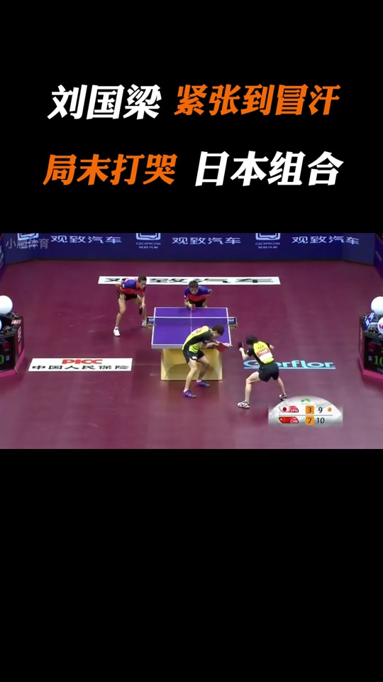 包含波兰队翻盘韩国队，许昕统治全场的词条