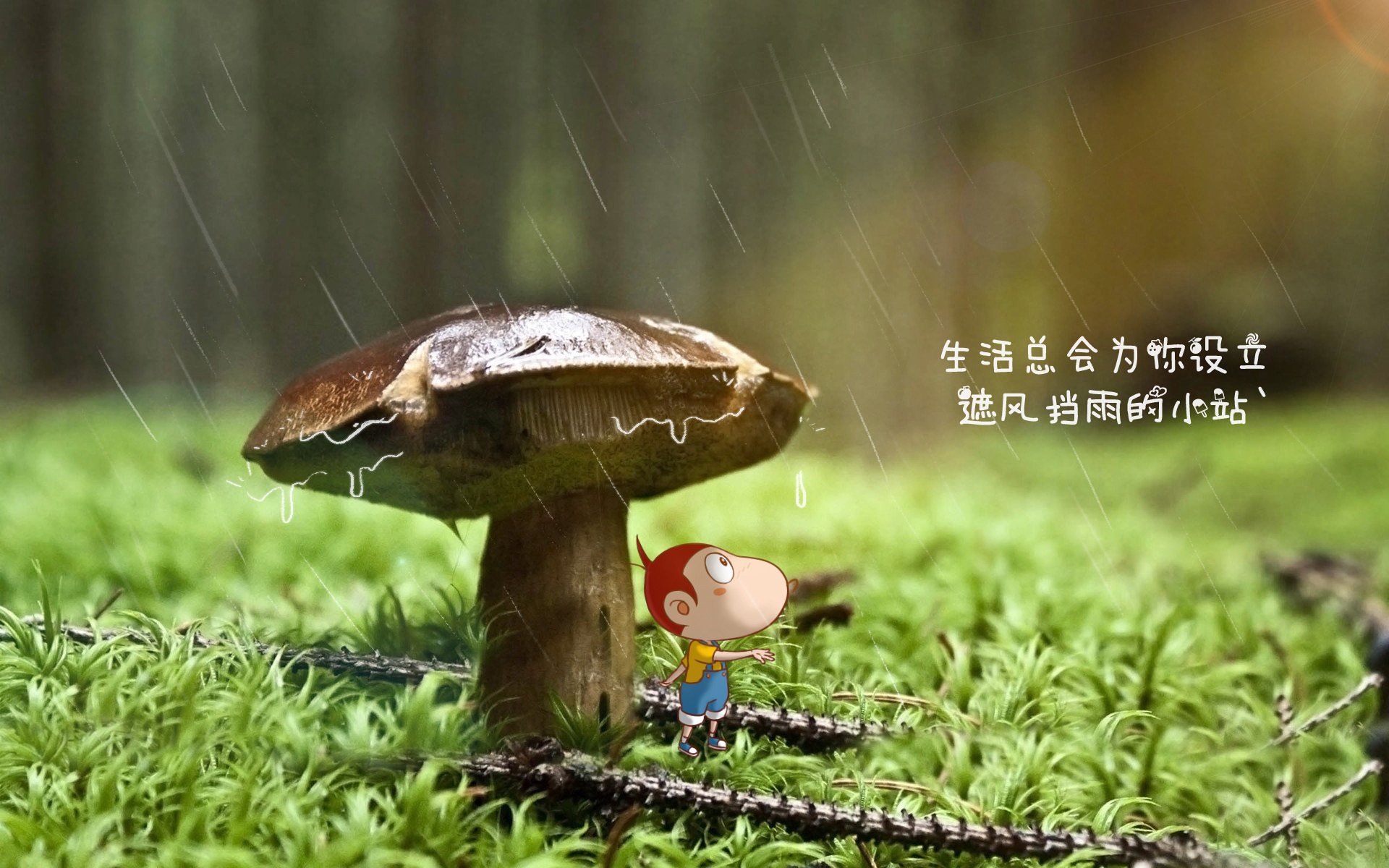 平行宇宙的篮球盛宴，当亚特兰大老鹰飞越浙江队，西亚卡姆如何刷新篮球认知纪录？