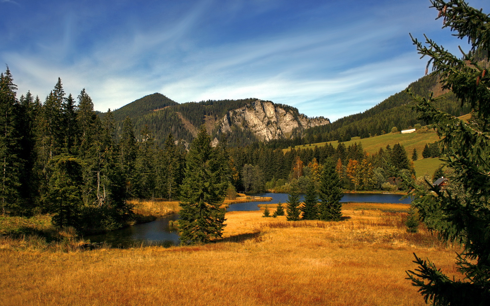 足球双重奏，阿森纳决胜哥伦比亚，罗德里德比称王