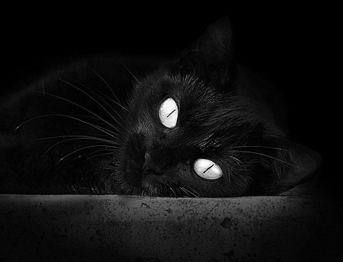 友谊赛惊现国际惨案，威尔士5-0屠拉齐奥，边缘门将上演一球两助攻神迹