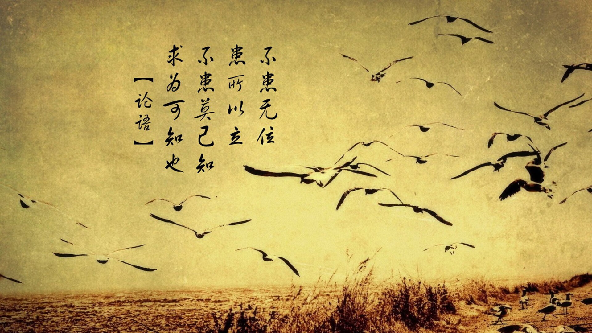 0.2秒的封喉利剑,克莱绝杀背后,凯尔特人的沉默杀手复苏记