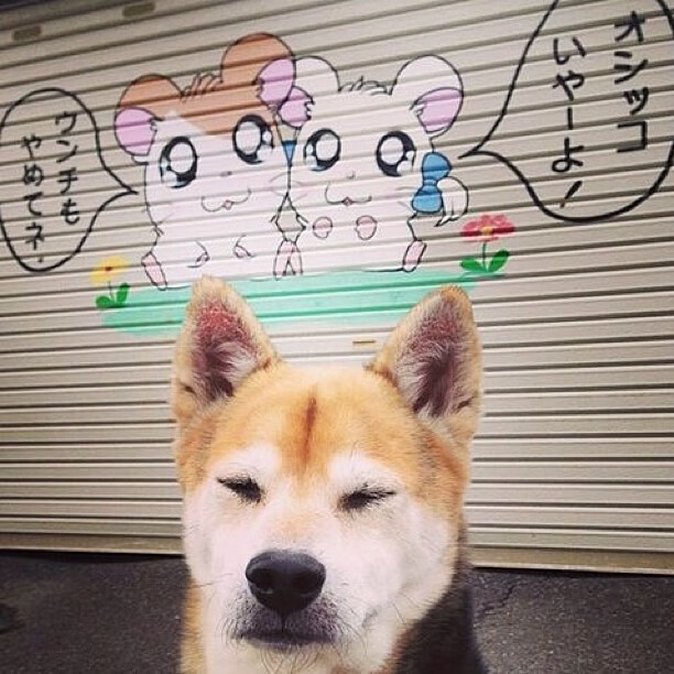 我来为你创作一篇具有唯一性的文章