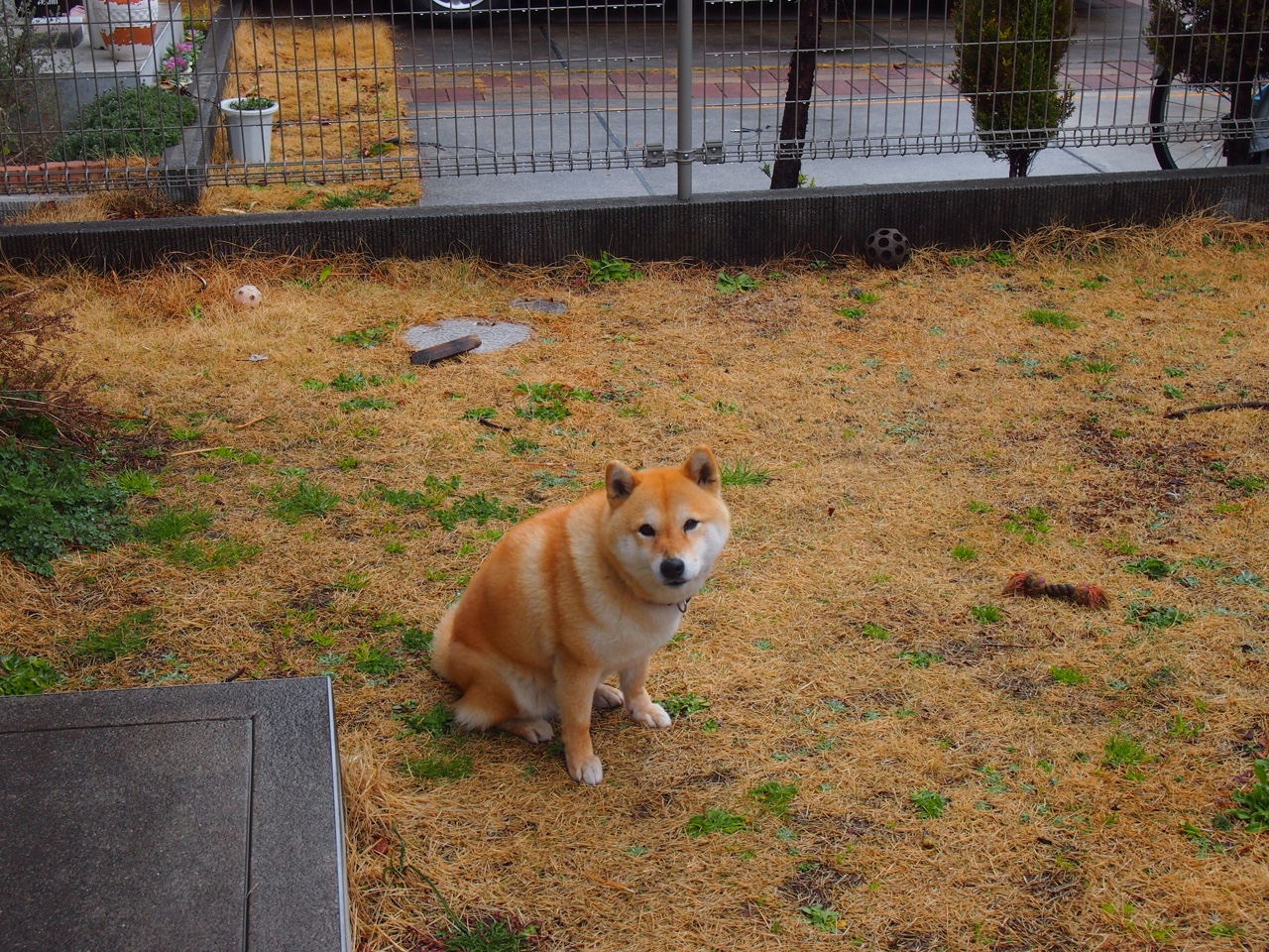 跨界统治夜，哈登率队逆袭，哈弗茨另一舞台创造历史