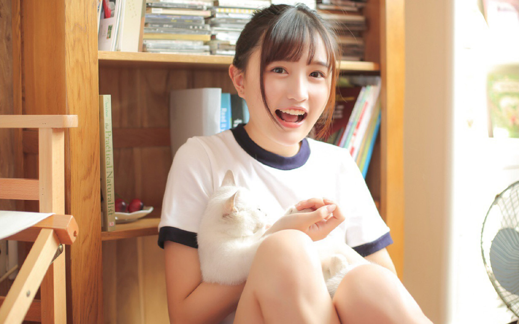 镰刀与郁金香，德国如何用攻防转换收割荷兰