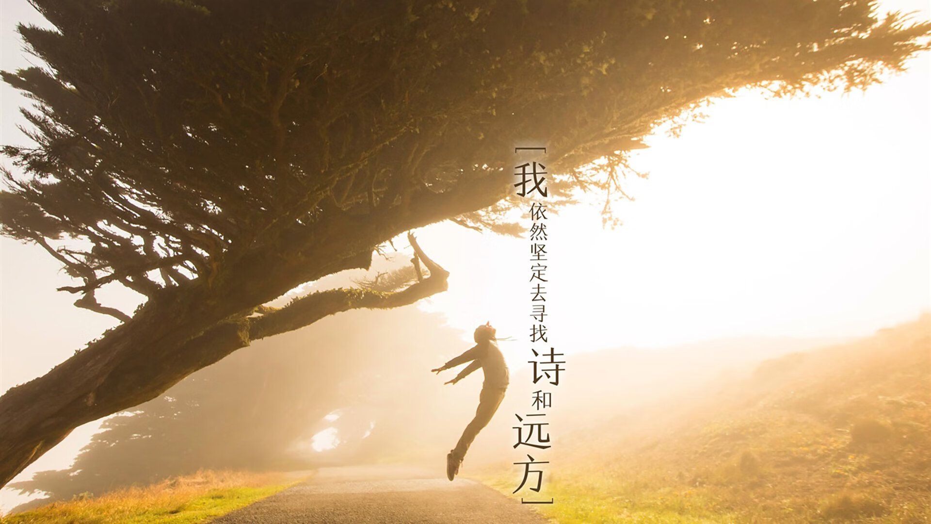 钢铁意志的爆破，当唯一的京多安，将奥地利战车驶入世界杯的冰与火之歌