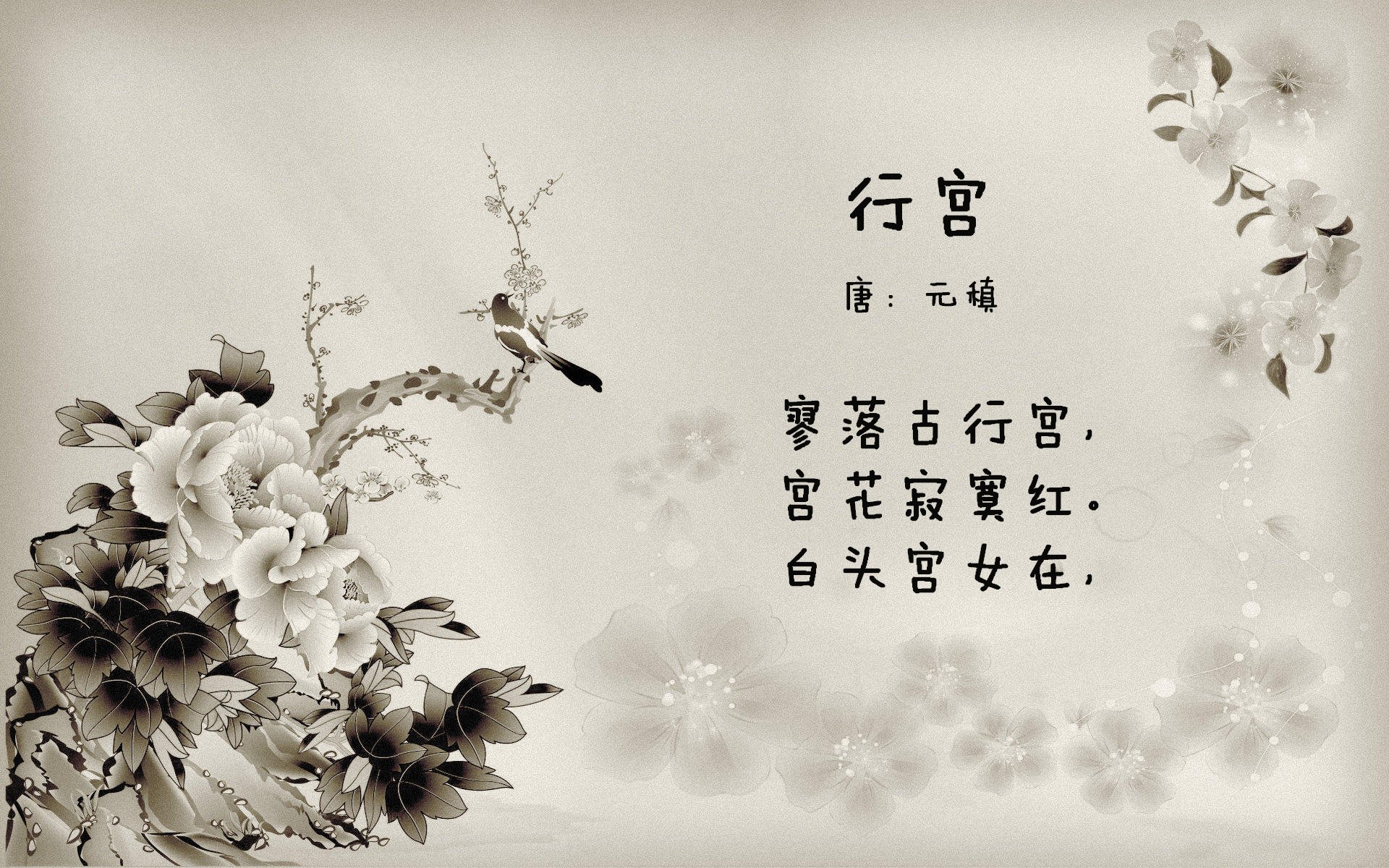 当上帝穿上袋鼠战袍，2026世界杯D组那场唯一性的颠覆之夜