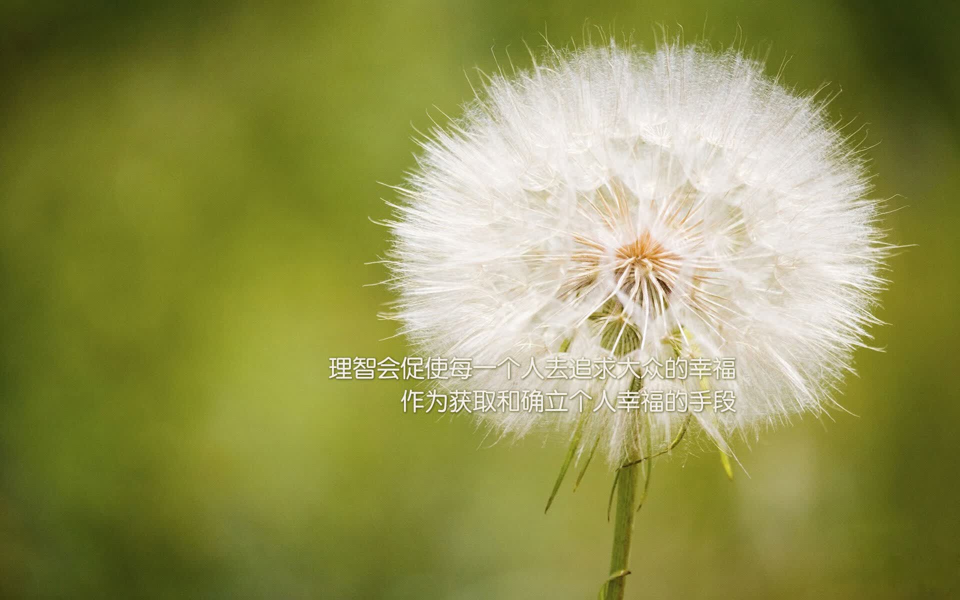 归化飞翼一锤定音！伊朗逆转越南，阿方索·戴维斯演绎攻守转换教科书