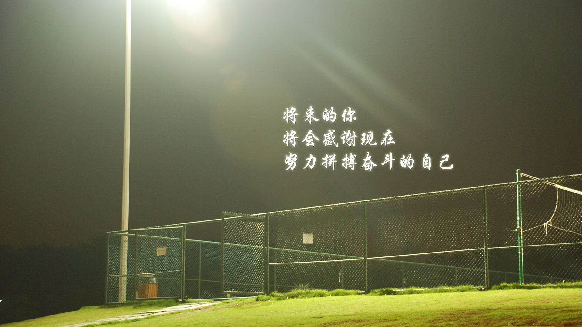 太极虎的咆哮,当巴黎的雨夜不再浪漫,哈兰德用一己之力撕碎高卢雄鸡的骄傲
