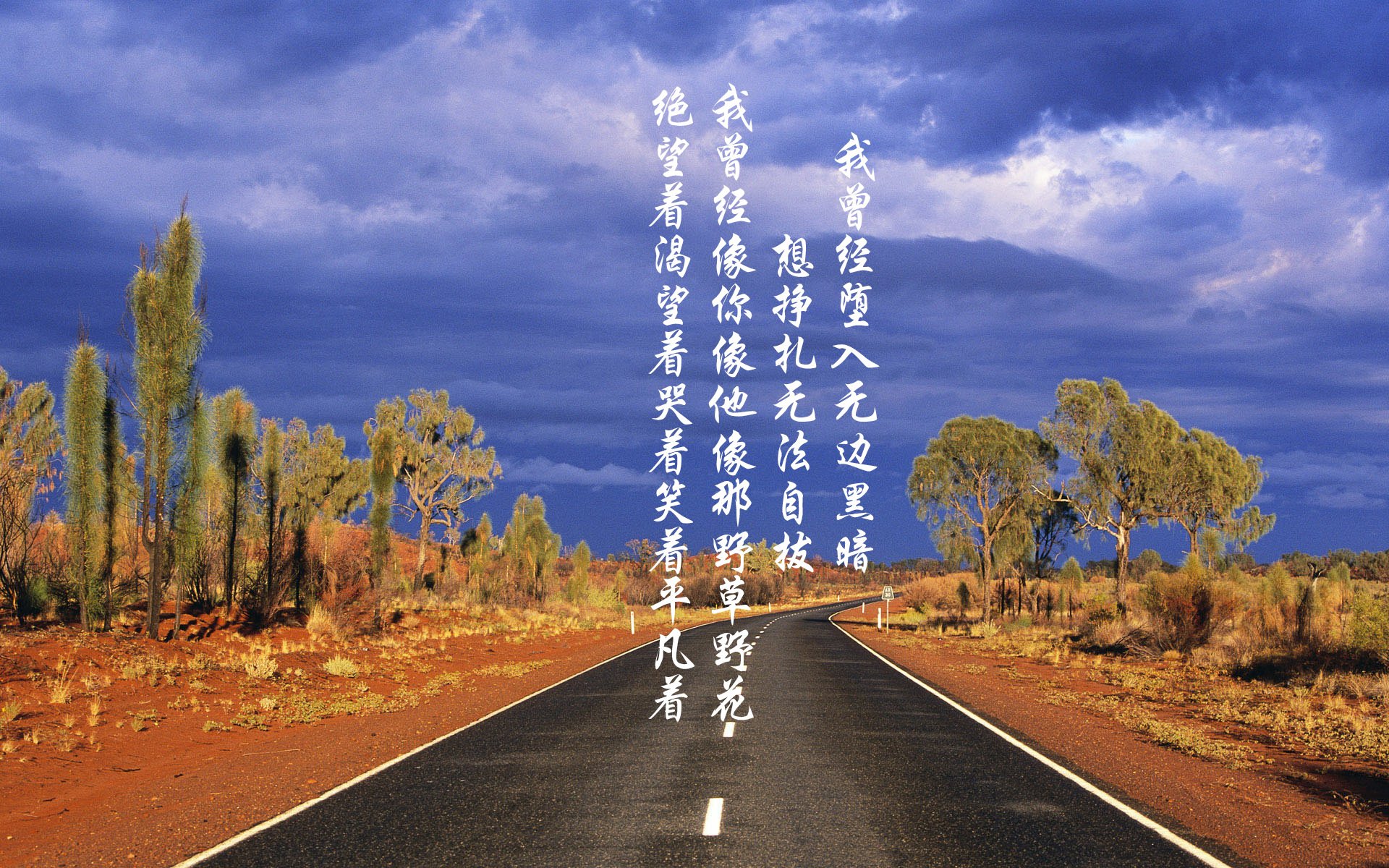 蓝衣军团的城墙与非洲雄鹰的利刃，2026世界杯H组上演史诗级强强对话，意大利用钢铁防线压制比利时，奥斯梅恩闪耀全场封神